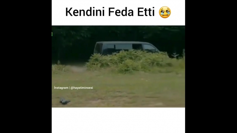 Kendini feda etti