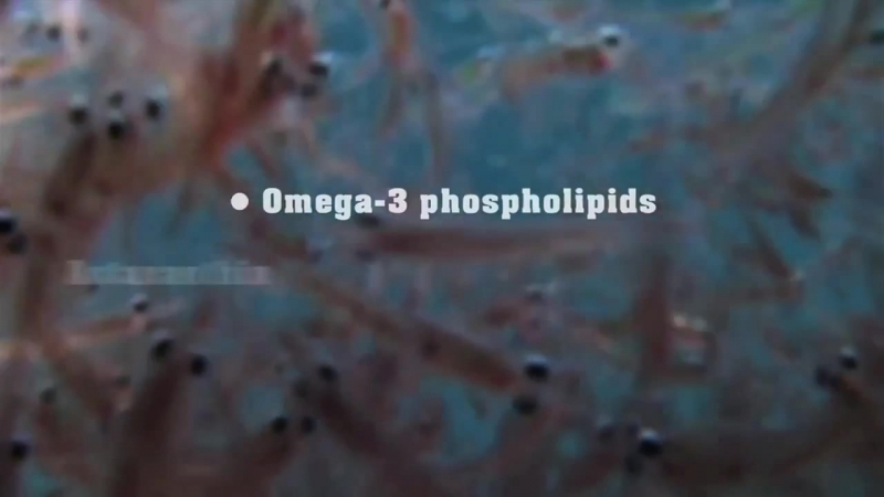TIENS Omega-3 KRILL OIL Cap