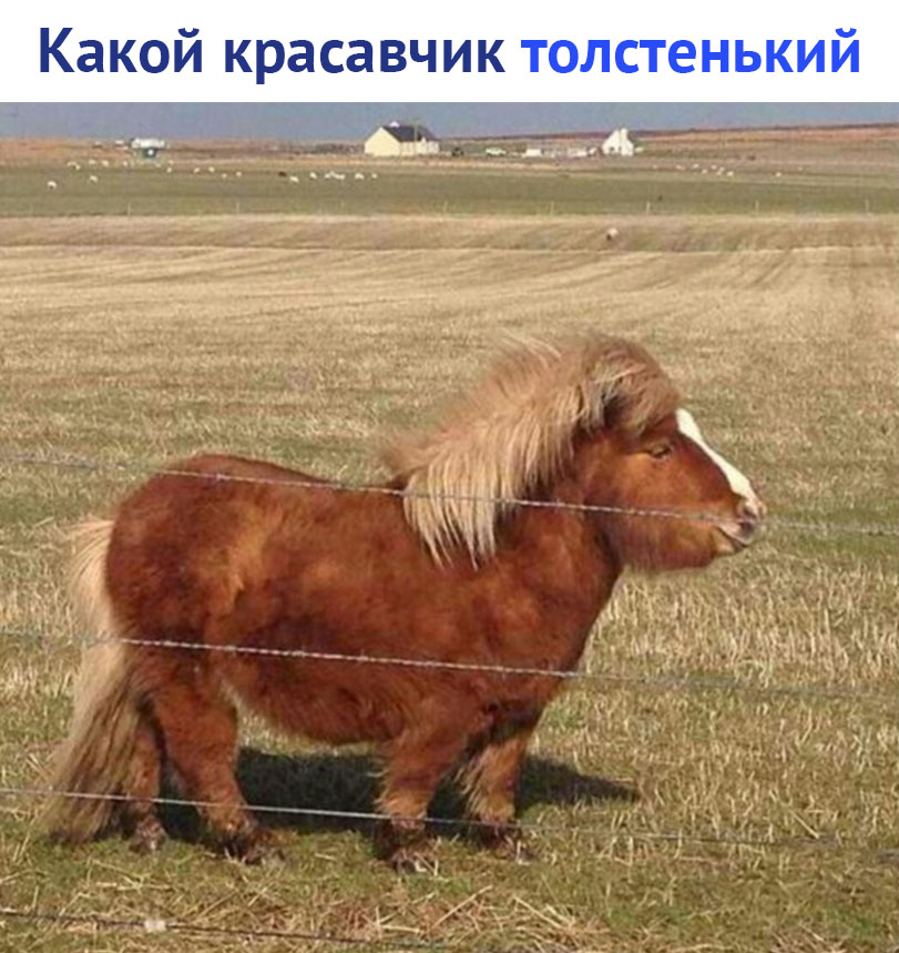 https://pp.userapi.com/c847121/v847121979/10e2df/Vphavcyf1oo.jpg