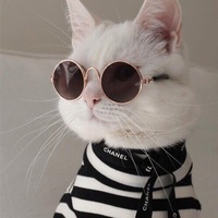 Саша Игнатова | Волжский