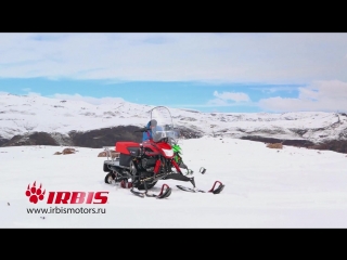 Снегоход DINGO T150 150сс 4т модель 2018 года