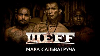 ШЕFF - Мара Сальватруча