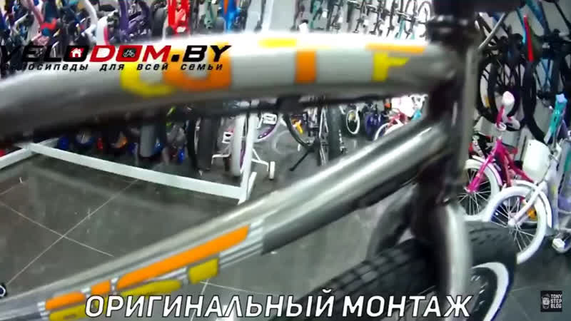 Бимик Аист