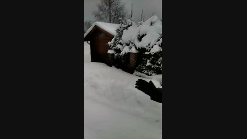 VID_20190107_151008.mp4