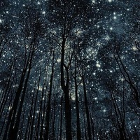 Эльза Валеева | Псеево