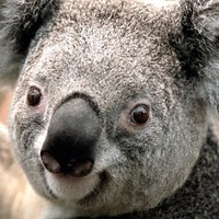 Ольга Даниленко | 