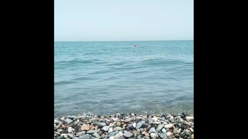 Грузия из Гомеля timetravel.by