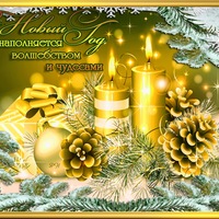 Анастасия Росоха | Краснодар