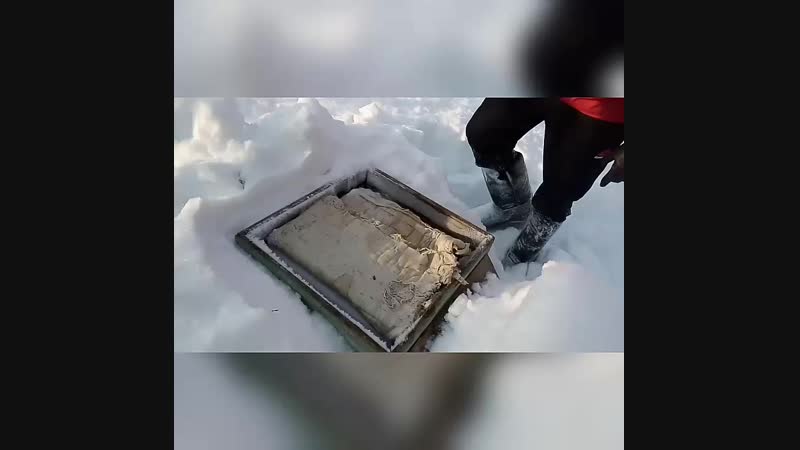 Подкормка Канди