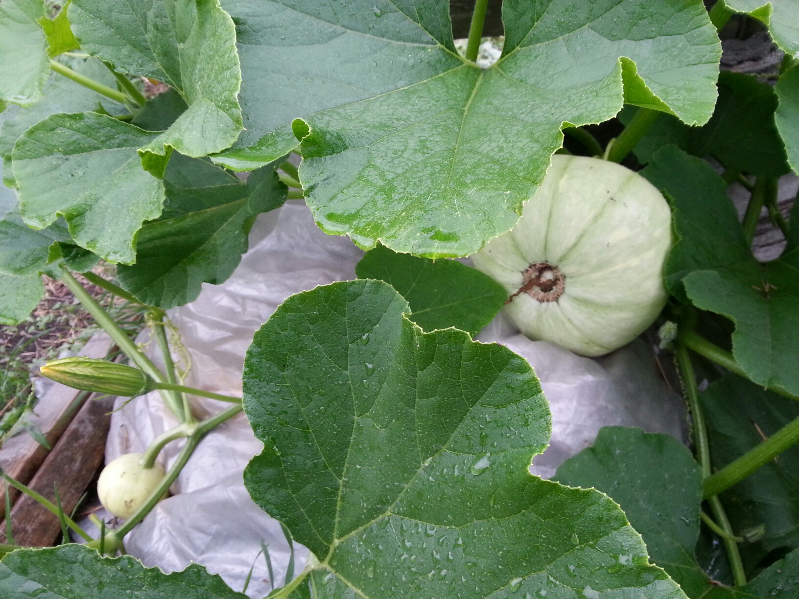 фотография из вКонтакте