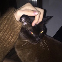 Павел Клочков | 