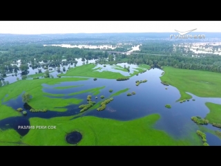 Vk Порно Видео Молодые