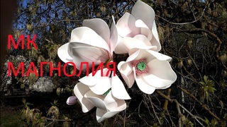 Мастер класс Магнолия из изолона / фоамирана