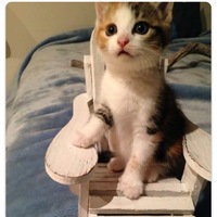 Марина Кустова |