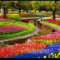 Светлана Деревенских |