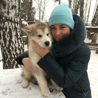 Наталья Архипова
