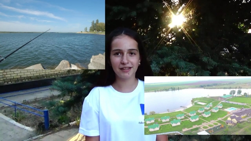 Новоселицкий район