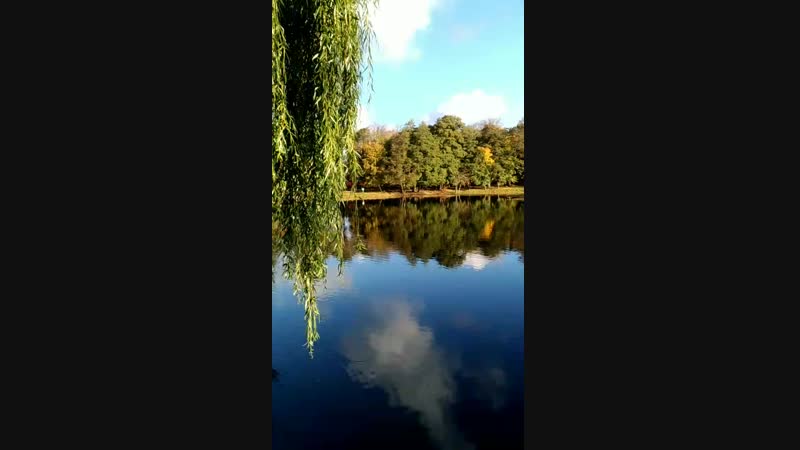 V_20181021_091125_vHDR_On.mp4