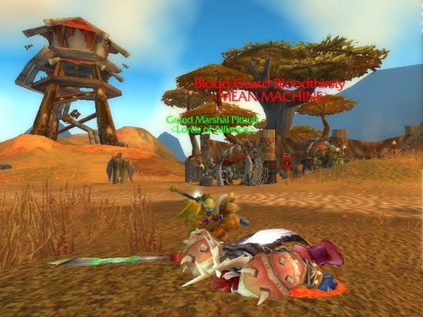 BFA 8.0.1 Arena 2v2 RshamRet