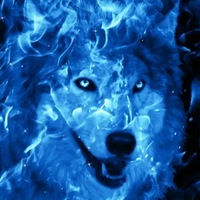 Ирина Волк | Москва