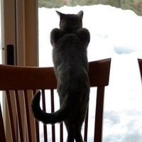 Сергей Сахаров | Казань