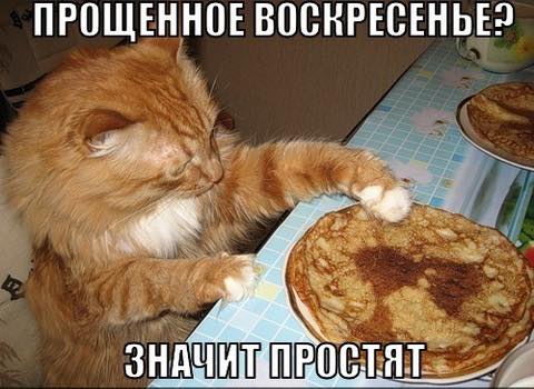 https://pp.userapi.com/c847124/v847124158/1bac8d/MZGzhJSGMN4.jpg