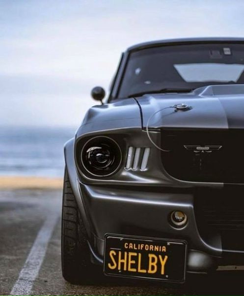 1967 Shelby GT500