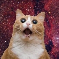 Александр Шишков | Санкт-Петербург