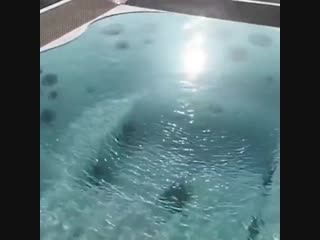 Интересно, каково это, проснуться на Мальдивах..🤤😍 (6 sec)
