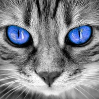 Василиса Федорова | Орёл