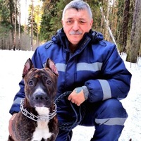 Александр Корняков | 