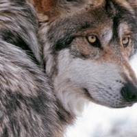 Владислав Кузьменко | 