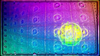 Shamans Dream - Nectar Visualization