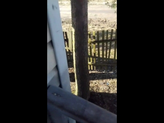 Фантастические твари 2