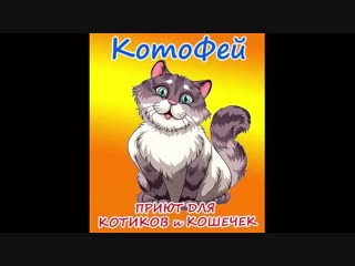 Знакомство с приютом @kotosocialpage(