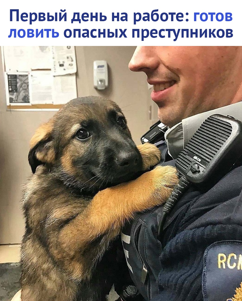 https://pp.userapi.com/c847216/v847216613/118ceb/EEFXshhWil4.jpg