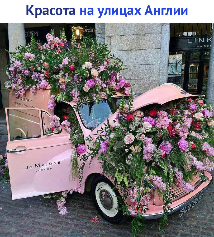 https://pp.userapi.com/c847216/v847216613/118cfd/Yy2doaMq5jM.jpg