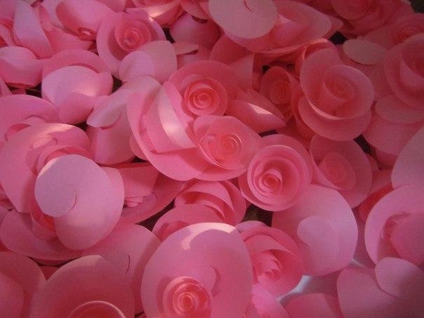 фотография из вКонтакте