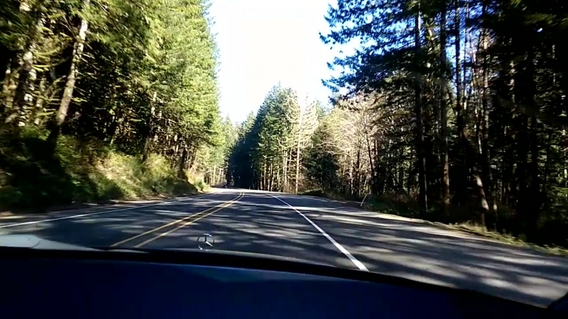 Driving back home
