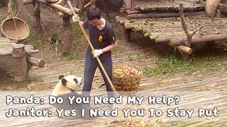 Panda: Do You Need My Help? Janitor: Yes I Need You To Stay Put | iPanda