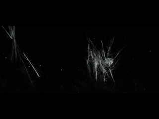 Sylvaine - Abeyance (official music video)