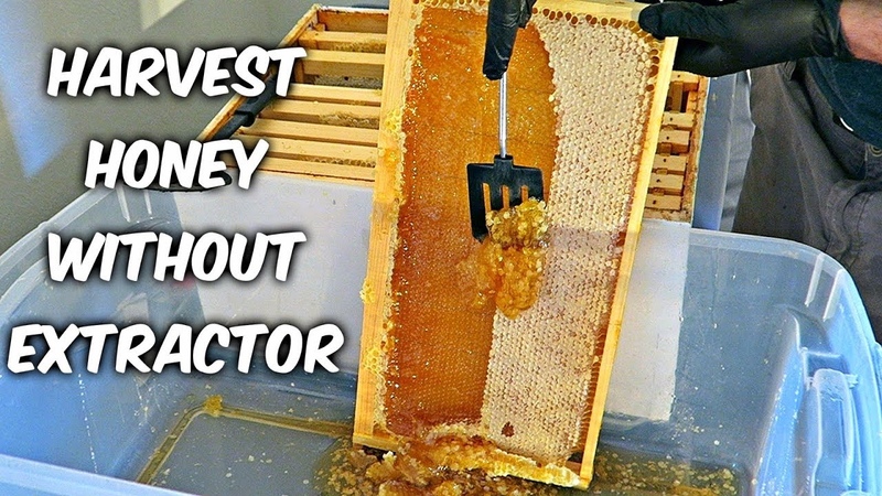 Harvest Honey - Part 4