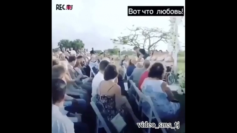 Вот это любовь сука