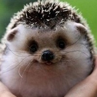 Кирилл Лаврентьев | 