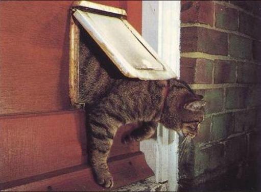 Исаак Ньютон изобрел дверь для домашних кошек Исааком Ньютоном, который известен как открыватель закона притяжения, была изобретена дверь для домашних кошек. Чтобы его кошка могла входить и