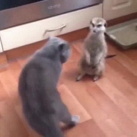 Маленькая бяка