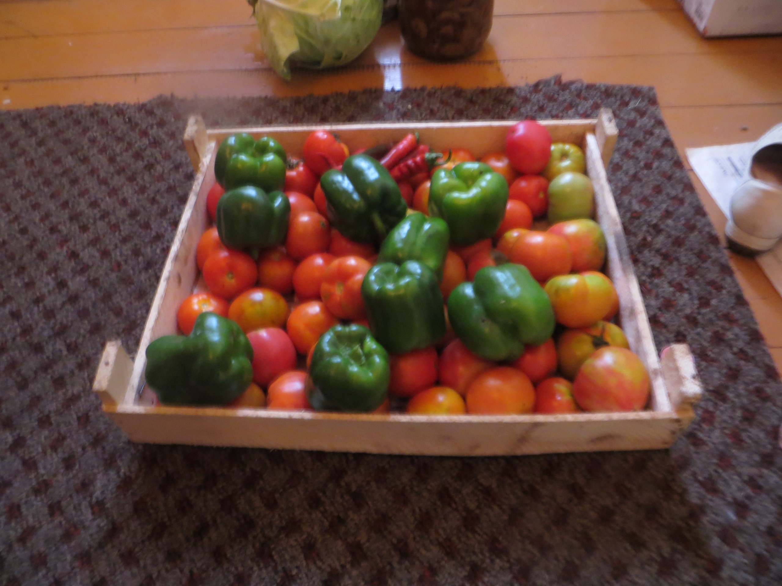 фотография из вКонтакте