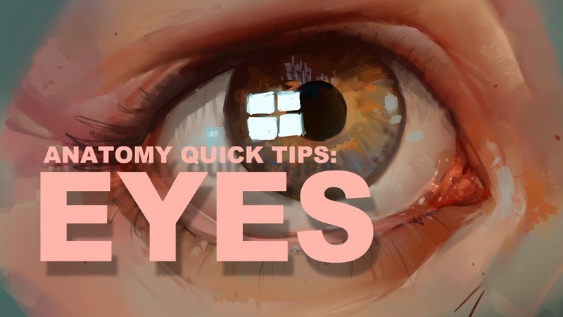 Anatomy Quick Tips Eyes
