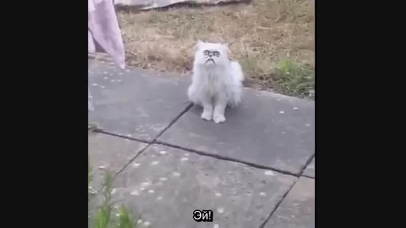 GIF МАНИЯ