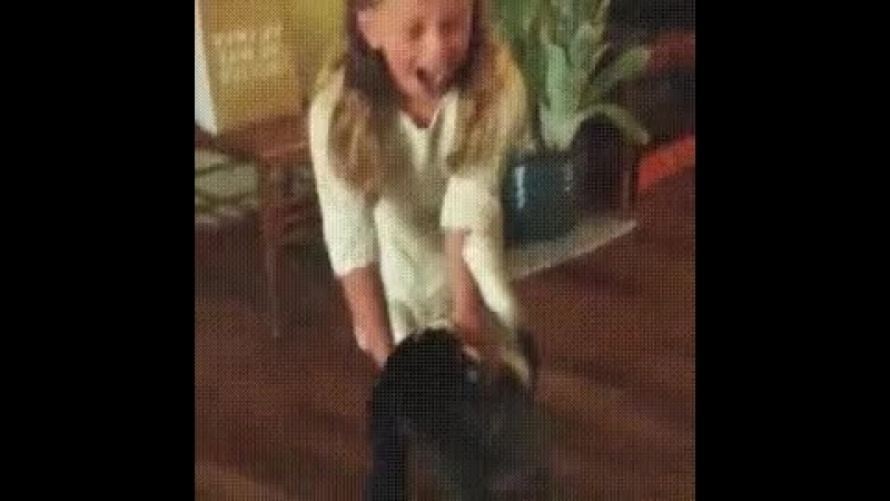 Doc15613444_485087400.mp4